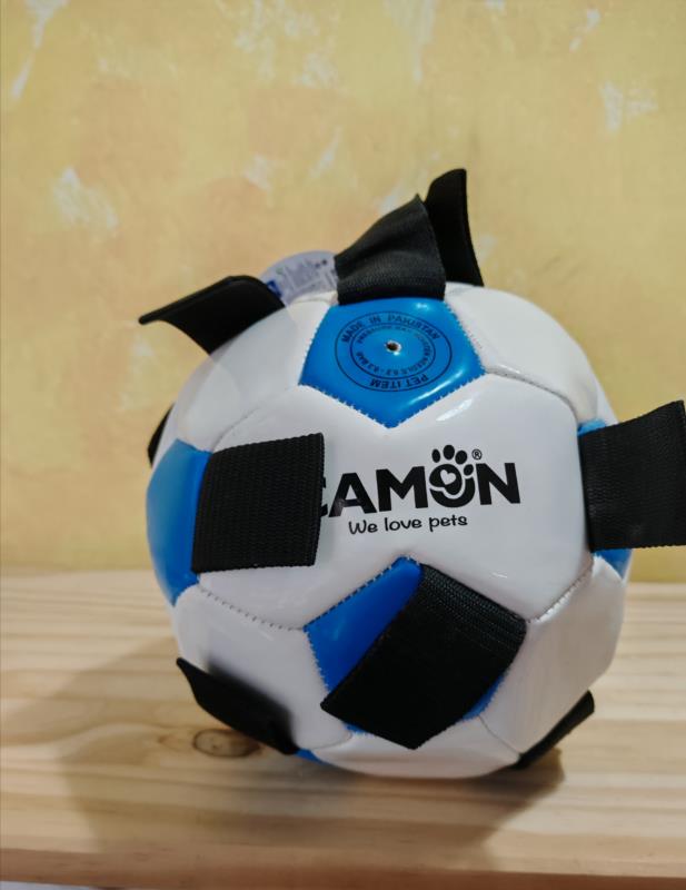 Pelota g