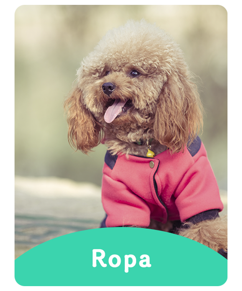 Ropa para perros