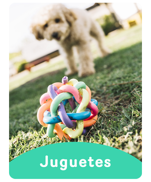 Juguetes