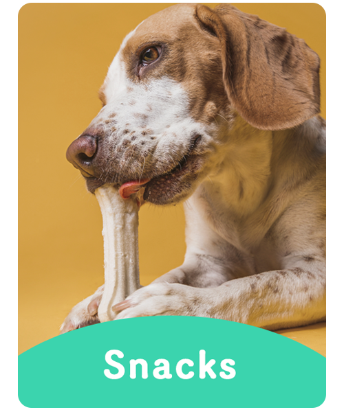 Snacks para mascotas