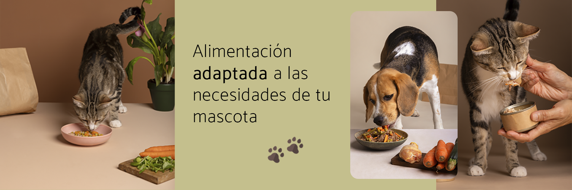 Alimentación adaptada a las necesidades de tus mascotas